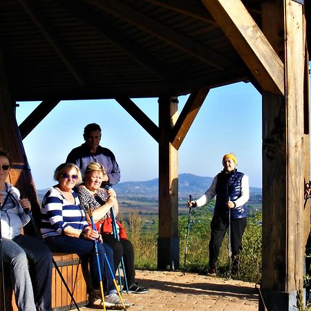 Tokaj Hill Panorama Guesthouse Szerencs Exterior foto