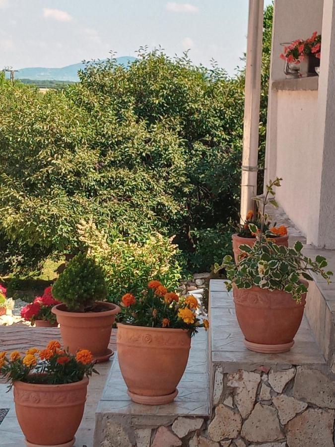 Tokaj Hill Panorama Guesthouse Szerencs Exterior foto