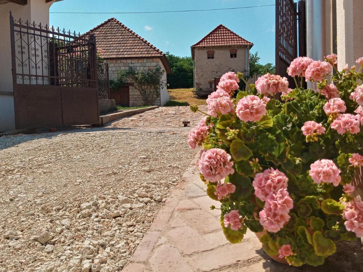 Tokaj Hill Panorama Guesthouse Szerencs Exterior foto