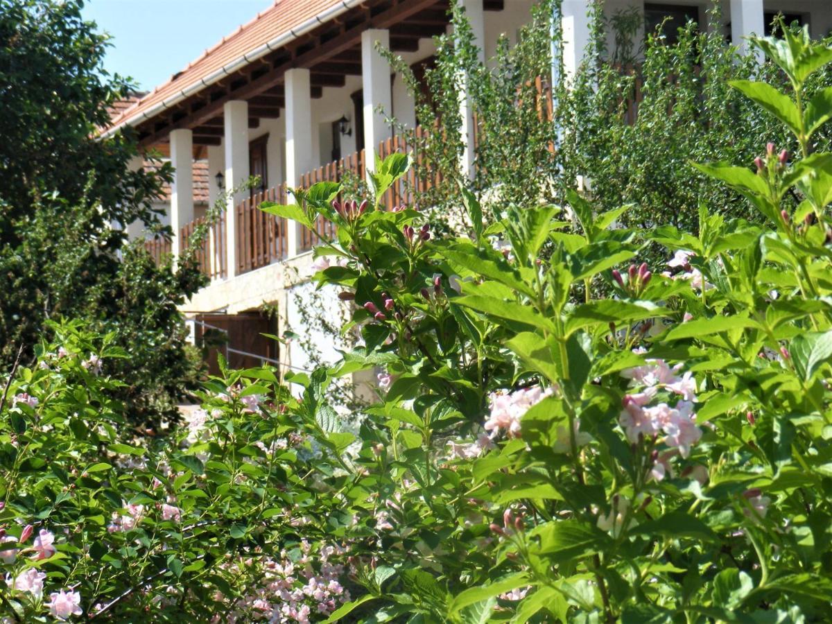 Tokaj Hill Panorama Guesthouse Szerencs Exterior foto