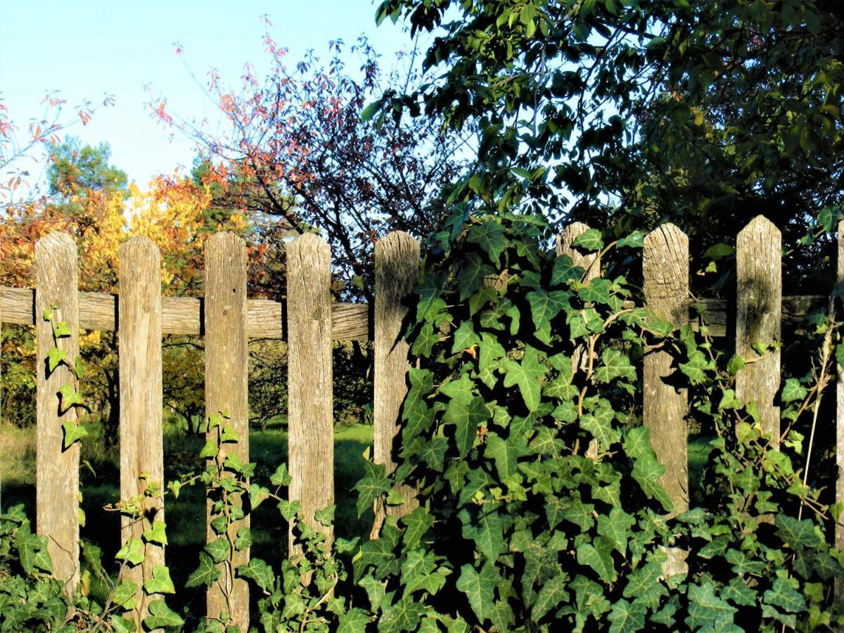 Tokaj Hill Panorama Guesthouse Szerencs Exterior foto